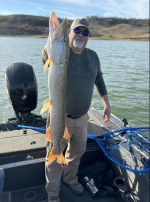 Screen Shot 2024-02-26 at 7.34.18 PM.png