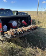 Screen Shot 2024-02-26 at 7.34.30 PM.png