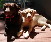 IMG_20220807_150735404_HDR.jpg IMG_20220807_150735404_HDR.jpg