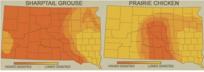 Grouse Density.jpg