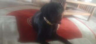 17201288116826949559535300487964.jpg 17201288116826949559535300487964.jpg