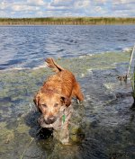 20220925_142117.jpg 20220925_142117.jpg