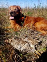 20220926_111624.jpg 20220926_111624.jpg