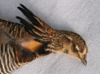 1721764322989.png 1721764322989.png