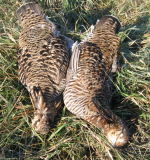 1721764379381.png 1721764379381.png