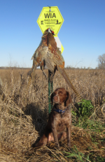 1723595432297.png 1723595432297.png