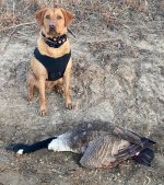 1st Goose.jpg