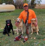 IMG_20241017_172410~2.jpg IMG_20241017_172410~2.jpg