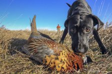 IMGL4470-2.JPG IMGL4470-2.JPG