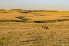 5D4_3546.JPG 5D4_3546.JPG