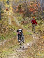 IMG_3338.JPG IMG_3338.JPG