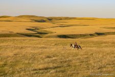 5D4_3546.JPG 5D4_3546.JPG