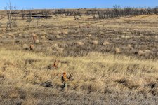 IMGL4783-2.JPG IMGL4783-2.JPG