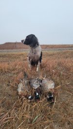 20241103_170546.jpg 20241103_170546.jpg