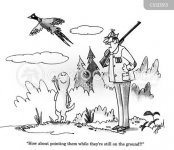 animals-pheasant-bird-dog-hunt-hunting-jtr0117_low.jpg