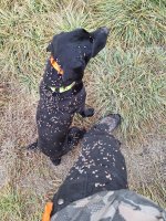 before.jpg before.jpg