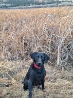 20241114_082531.jpg 20241114_082531.jpg