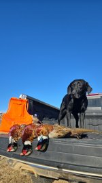 1000004420.jpg 1000004420.jpg