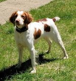 LePoint De Grace Sammie Six-Shooter photo.jpg