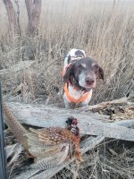 Resized_20241219_165336_1734789783758.jpeg Resized_20241219_165336_1734789783758.jpeg