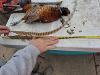 20240105_132906.jpg 20240105_132906.jpg