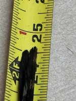 IMG_2898.jpeg IMG_2898.jpeg