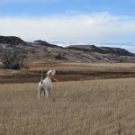 1000008408.jpg 1000008408.jpg