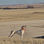 1000008386.jpg 1000008386.jpg