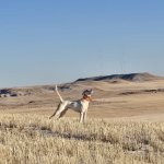 1000008390.jpg 1000008390.jpg