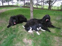 451418237_10225462603287694_7195423747077538870_n.jpg 451418237_10225462603287694_7195423747077538870_n.jpg