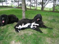 451406305_10225462603087689_8612746782575644990_n.jpg 451406305_10225462603087689_8612746782575644990_n.jpg