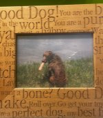 IMG_4343.jpeg IMG_4343.jpeg