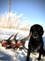 IMG_3888.jpeg IMG_3888.jpeg