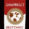 campbellsbrittanys