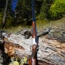 Cittori Hunter