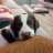 Bonnie_Springer