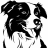 eazydogtraining