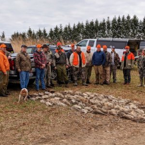 Turkey Creek Kennels - Indiana - American Brittany's