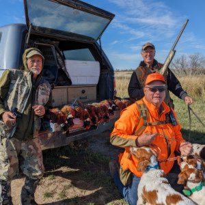 Turkey Creek Kennels - Indiana - American Brittany's