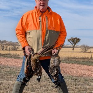 Turkey Creek Kennels - Indiana - American Brittany's