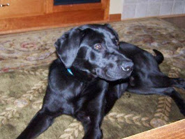 XbjQJXmvwJy9uDgaiYPZoSDlh3OjuLufU6AxjhJPFlo=w265-h200-p-no