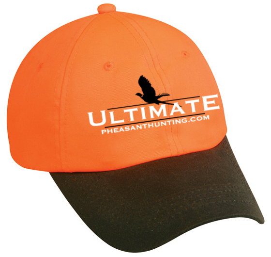 uph-blaze-hat-2.jpg