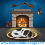 homeandfielddogs.com