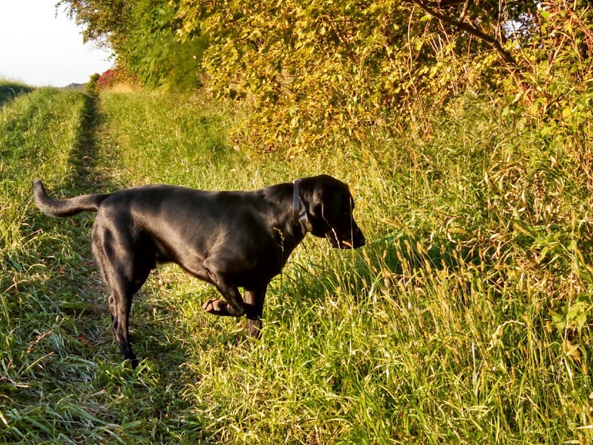 Tg6VyRtLAxfGABq1VF9A1mpmeD-AEmdA_oVrMyaaJFU=w859-h644-no