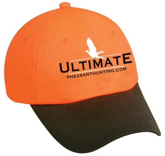 uph-blaze-hat-1.jpg