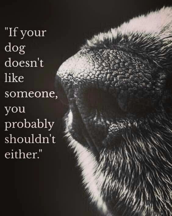 1e94afb3f43cf038-jpg.322172