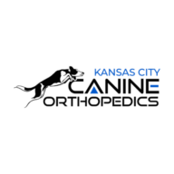 kck9ortho.com