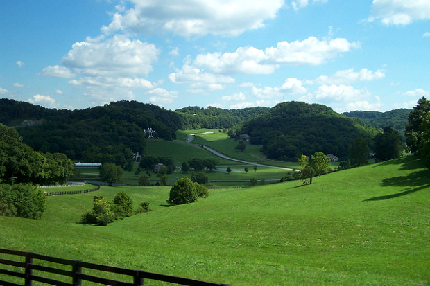 theamericangenius.com