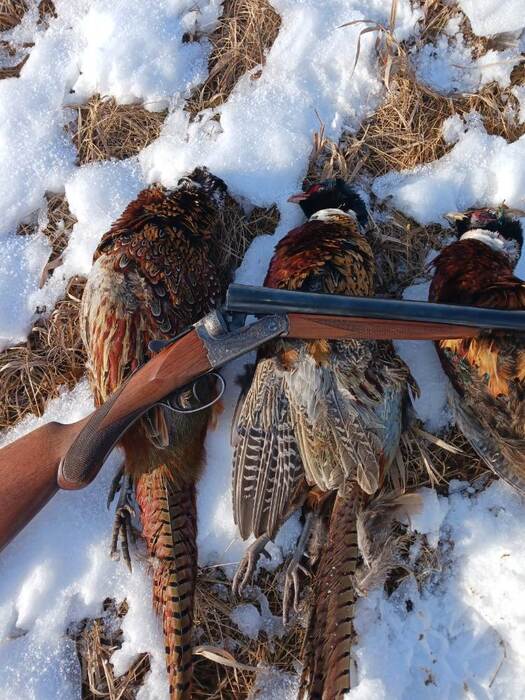 20231216_142002.thumb.jpg.796e373cc1f85d97edc097433b9757c6.jpg 20231216_142002.thumb.jpg.796e373cc1f85d97edc097433b9757c6.jpg